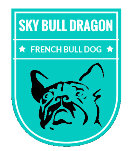 SKY BULL DRAGON